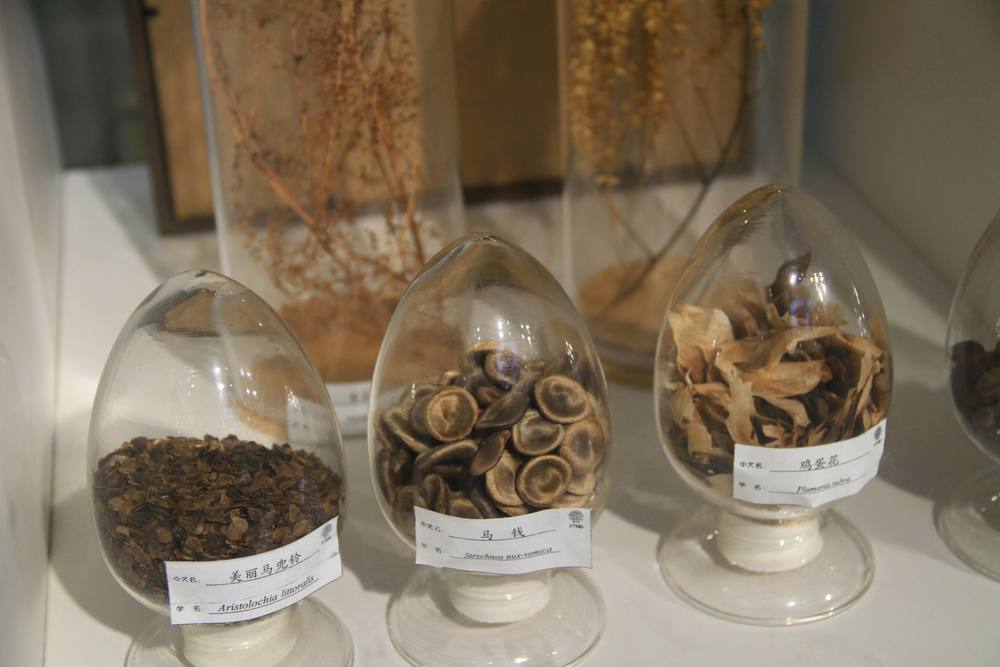 Dried herbal remedies in glass jars