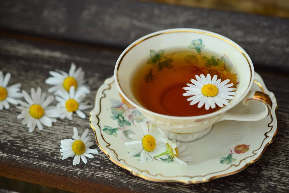 Chamomile tea with fresh daisies